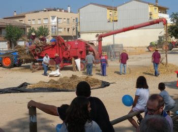 Fête des battages en Catalogne :une batteuse Batlle en démonstration