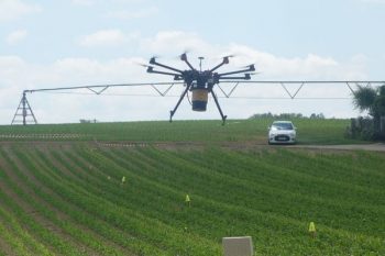 Drone contre pyrale