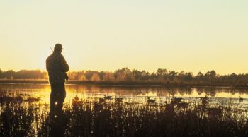 Chasseurs et cumistes : bâtiment en commun dans les Landes