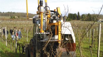 Bien préparer la vigne pour le tirage mécanique