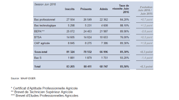 Bac 2016 : un taux de réussite en hausse