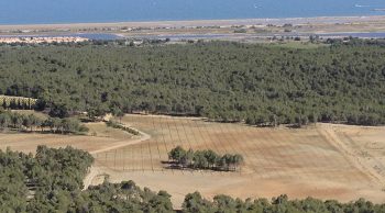 Gruissan, vignoble en ébullition