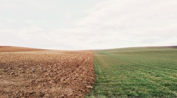 Bataille contre l’accaparement et la concentration des terres agricoles