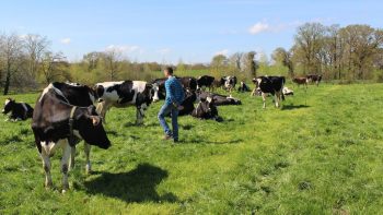 Des menhirs, pour un meilleur taux vibratoire sur la ferme