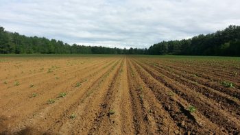 Agriculture: la baisse du nombre d’exploitations se poursuit en 2015