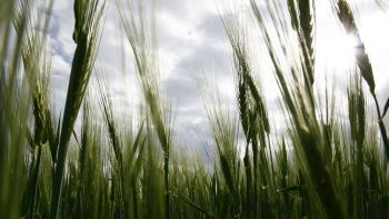 Nouvelle-Aquitaine: premier pacte signé en France pour le bio