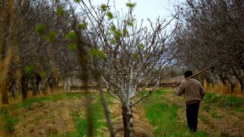 Travailleurs détachés: un vaste système de fraude mis au jour dans le secteur agricole