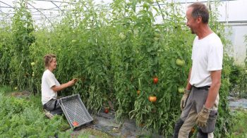 Actif agricole : souriez, vous êtes fiché !