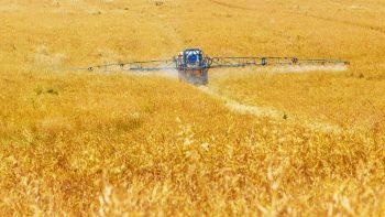 Glyphosate : le gouvernement s’engage à « des progrès significatifs » pour tous les pesticides d’ici 2022