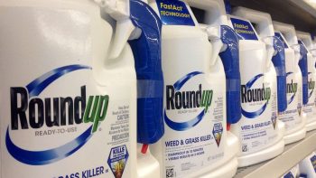 Glyphosate: création d’une mission sur les produits phytosanitaires à l’Assemblée