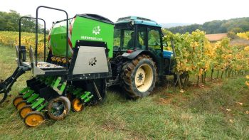 Vigne : agir sur le fonctionnement du sol