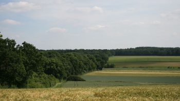 Zones agricoles défavorisées : « signes encourageants » du ministère