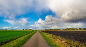 Un plan de sauvetage pour une biodiversité en perdition