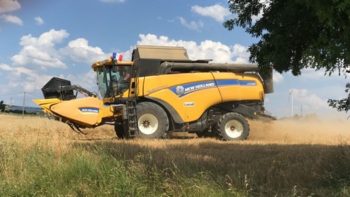 [Moisson 2018] En Haute-Garonne, « on est passé d’un extrême climatique à l’autre »