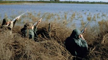 Un partenariat chasseurs – cuma pour un hangar au top en Chalosse