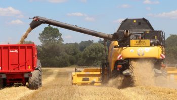 Bilan céréales: une année dans la moyenne mais très contrastée