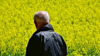 Suicides dans l’agriculture: un phénomène tabou, qui dure