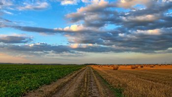 L’assemblée nationale vote le budget de l’agriculture pour 2019