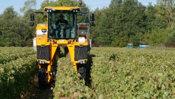 Quoi de neuf pour les vendanges 2019 ?