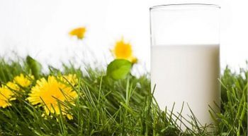 Lactalis et Leclerc signent un accord sur le prix du lait