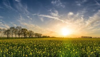 Qui est partant pour une expérimentation sur l’agroécologie ?