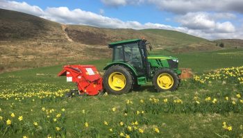 Une culture de vente dans la prairie permanente, c’est possible!