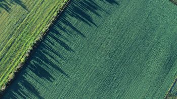 Notre-Dame-des-Landes: les contours de la rétrocession des terres finalisés