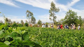 La faim dans le monde: cinq choses à savoir sur la sécurité alimentaire