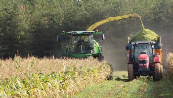 Premiers ensilages de maïs dans la Vienne