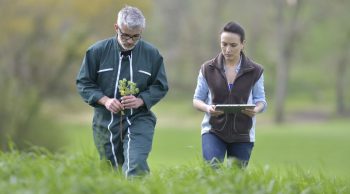 Agri-sentinelles ouvre sa boîte à outils contre le mal-être