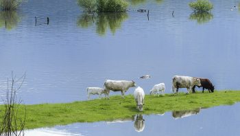 Agriculture: un budget en hausse pour favoriser l’agroécologie et la gestion des risques