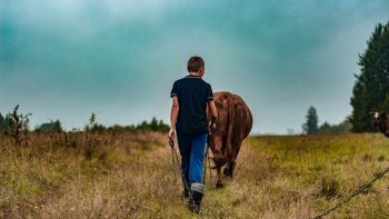 Installer plus d’agriculteurs pour favoriser la transition agricole