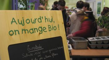 Bio en restauration collective: des stratégies pour réduire les coûts