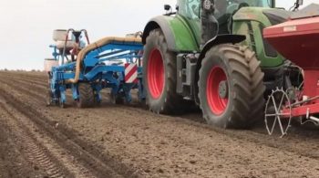 Des gestes et équipements barrière pour manier les semences