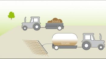 Des boues indésirables