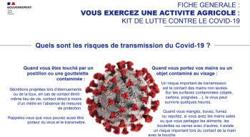[Coronavirus] Des fiches « conseil » bien construites par métier