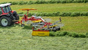 Du neuf et du large dans la chaîne verte