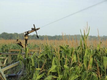 Moderniser l’irrigation, un enjeu crucial pour les cuma