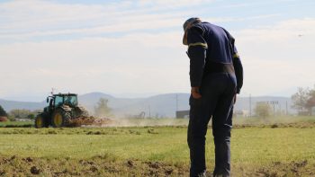 L’apprentissage, une opportunité pour les cuma