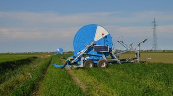 Sécheresse : 80 % des nappes phréatiques françaises en déficit