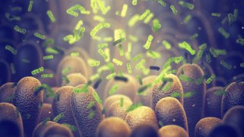 Biocontrôle: s’appuyer sur le microbiome des plantes