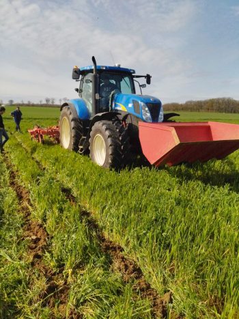 Du strip-till à l’essai