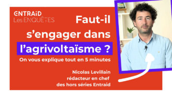 Article test Vidéo Dailymotion