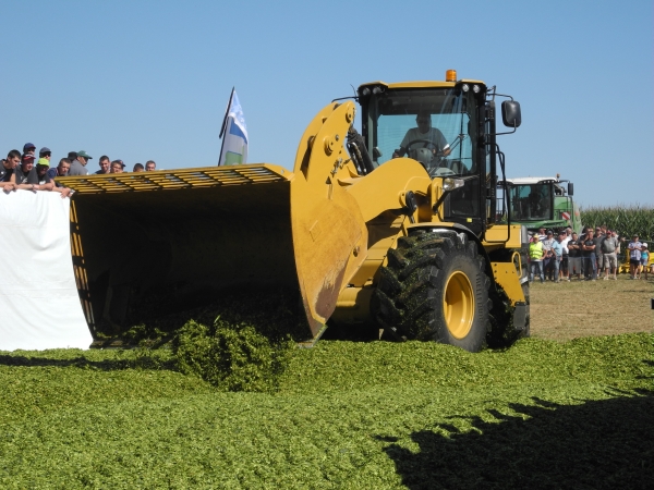 salon aux champs ensilage2