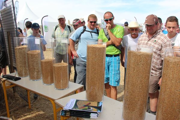 mecacereales qualite du grain